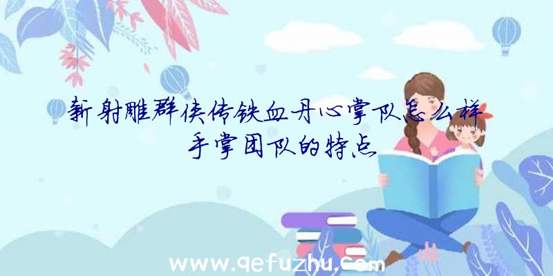 新射雕群侠传铁血丹心掌队怎么样